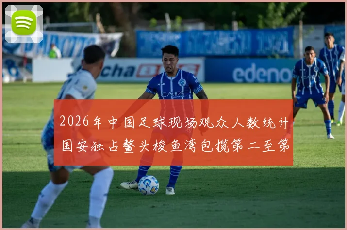 2026年中国足球现场观众人数统计国安独占鳌头梭鱼湾包揽第二至第七位